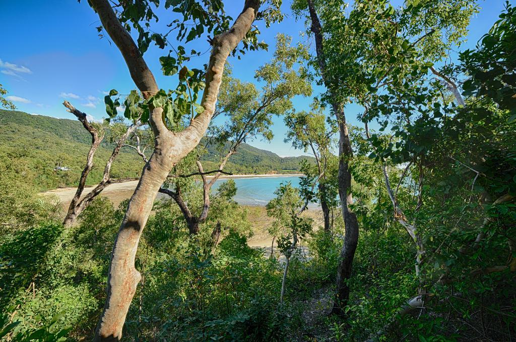 Thala Beach Nature Reserve Порт-Дуглас Екстер'єр фото